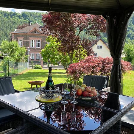 Neu - Ferienwohnungen Im Winzergarten Traben-Trarbach Exterior photo