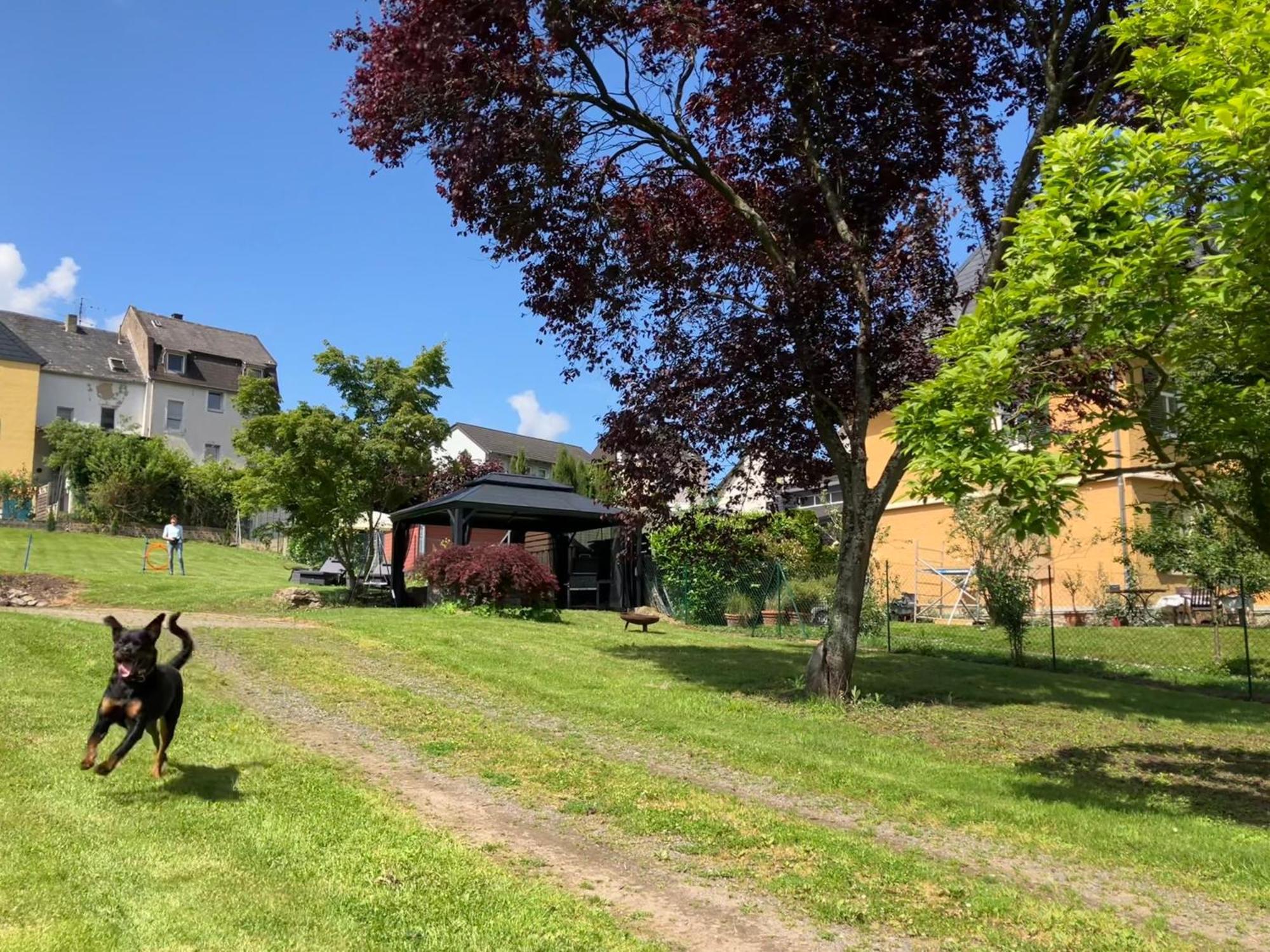 Neu - Ferienwohnungen Im Winzergarten Traben-Trarbach Exterior photo