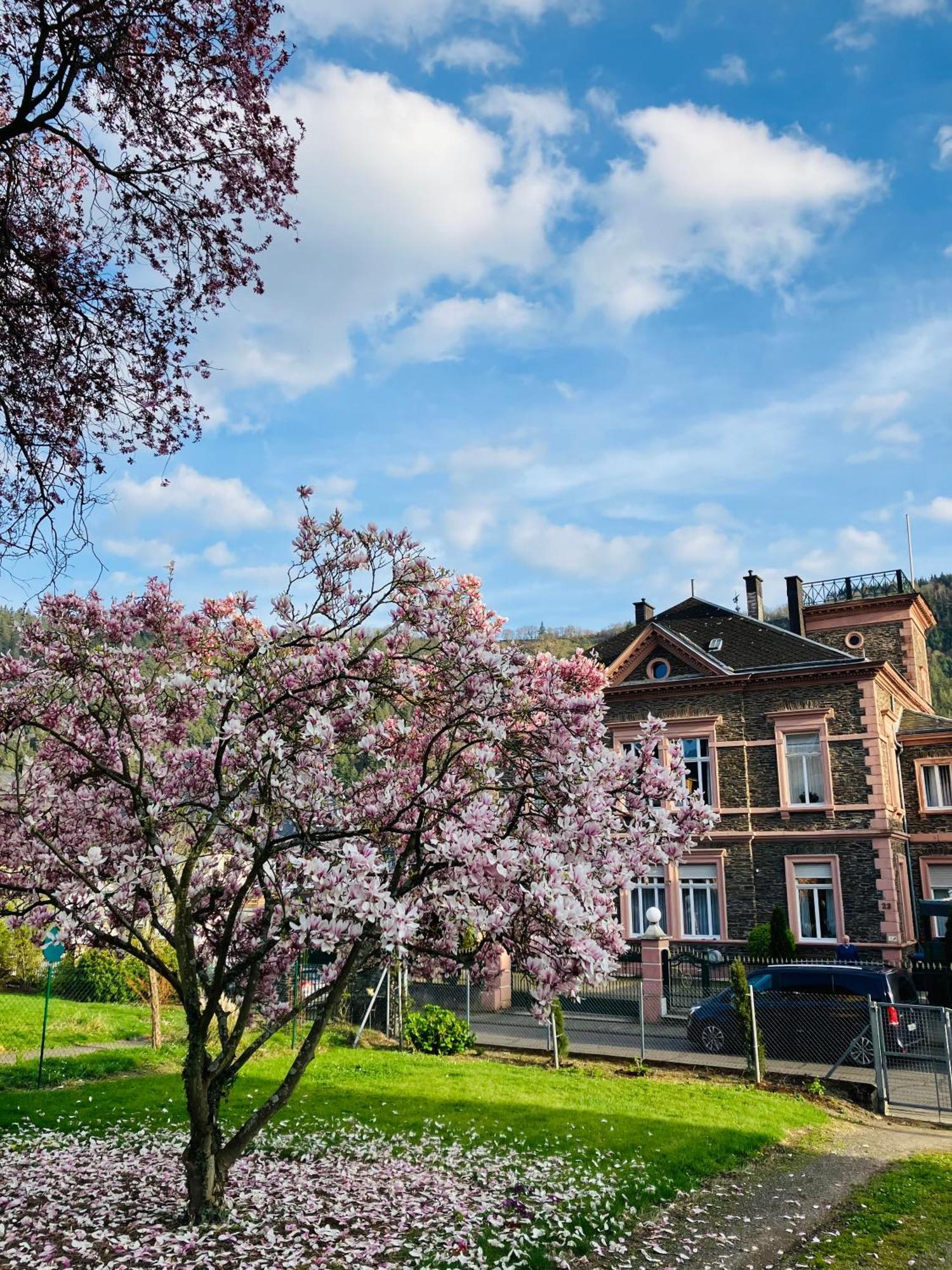 Neu - Ferienwohnungen Im Winzergarten Traben-Trarbach Exterior photo