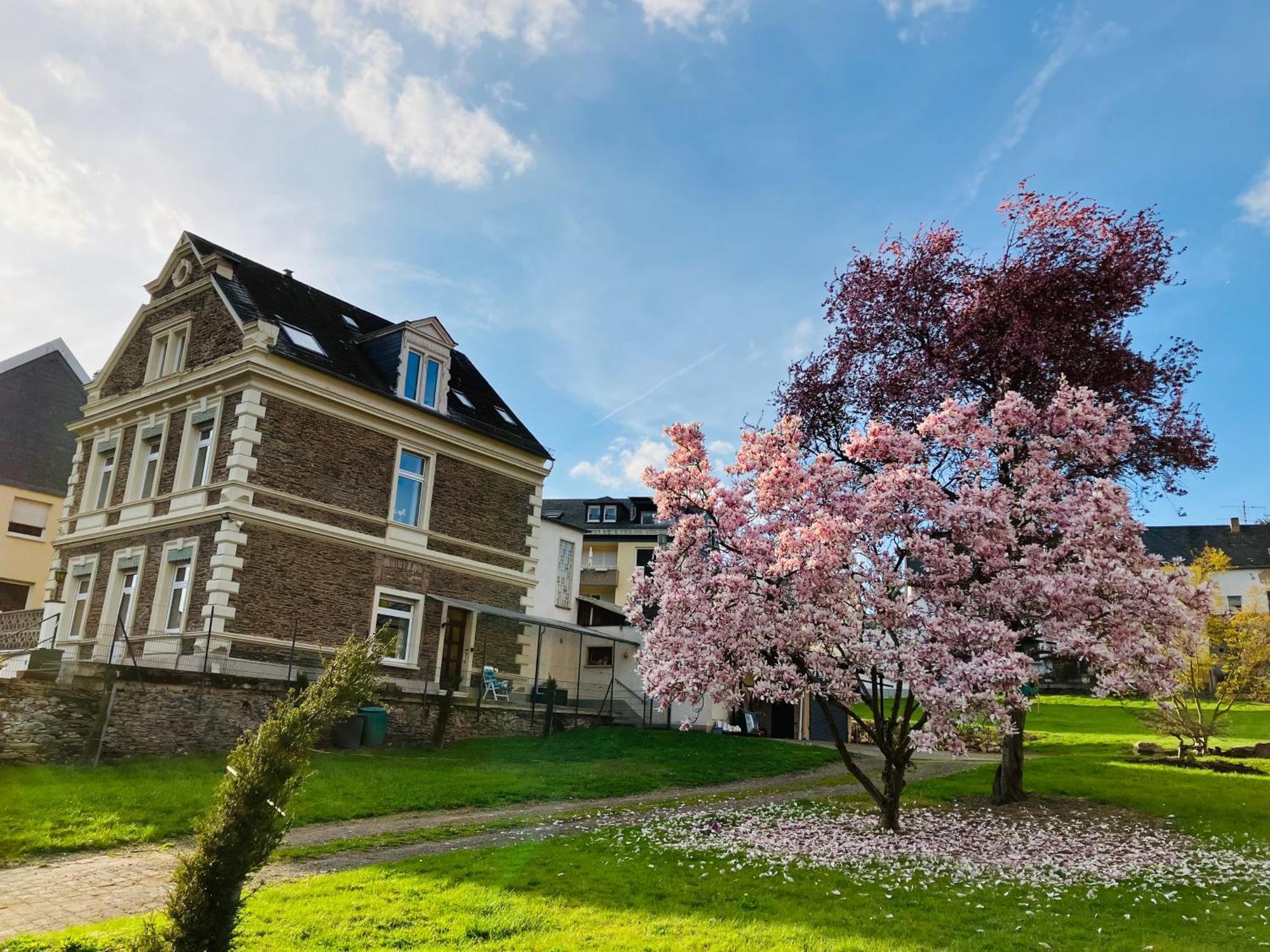 Neu - Ferienwohnungen Im Winzergarten Traben-Trarbach Exterior photo